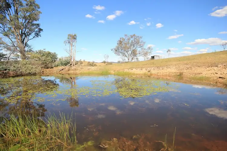 Third view of Homely rural property listing, 239 Upper Piambong Road, Mudgee NSW 2850