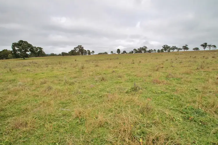 Third view of Homely rural property listing, LOT 8, 1011 Pyangle Road, Mudgee NSW 2850