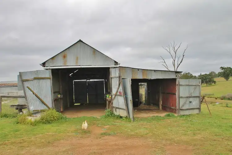 Seventh view of Homely rural property listing, 1049 Pyangle Road Road, Mudgee NSW 2850