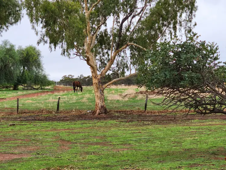 Second view of Homely land listing, 32 Second Road Bejoording, Toodyay WA 6566