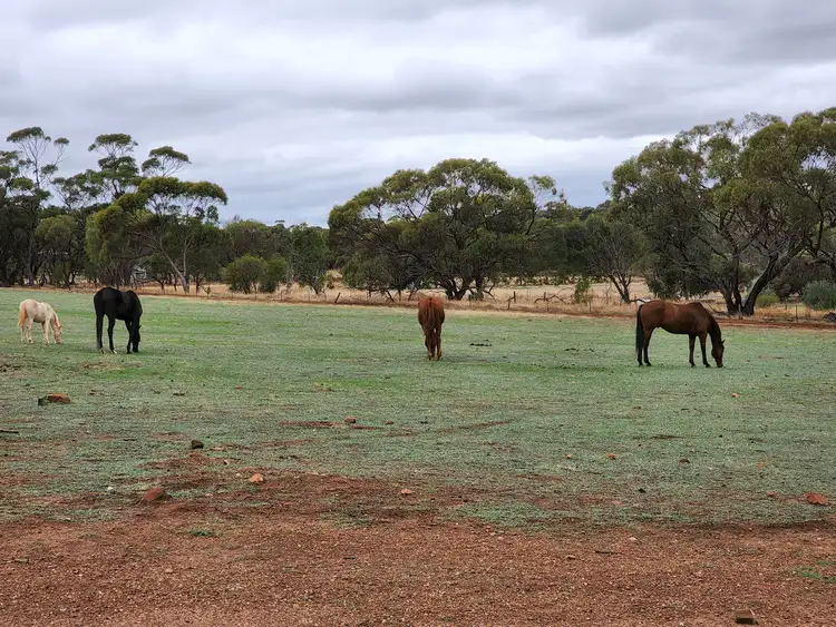 Fourth view of Homely land listing, 32 Second Road Bejoording, Toodyay WA 6566