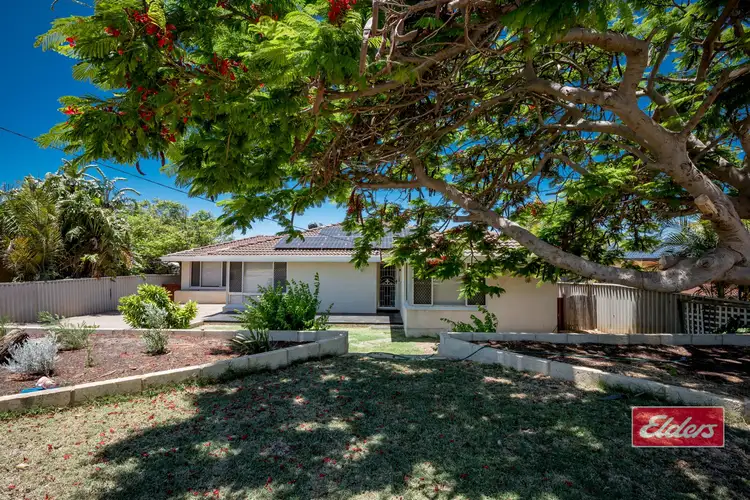 Main view of Homely house listing, 23 Catherine Street, Bluff Point WA 6530