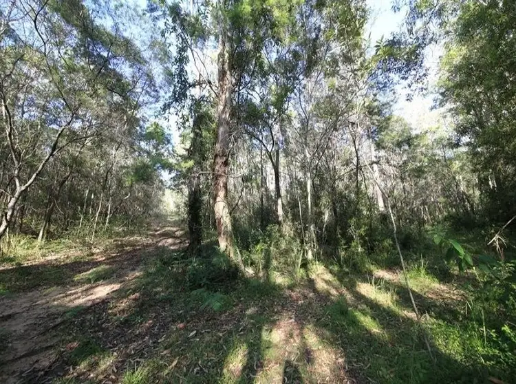 Fourth view of Homely house listing, 1394 Clarence Way, Whiteman Creek NSW 2460