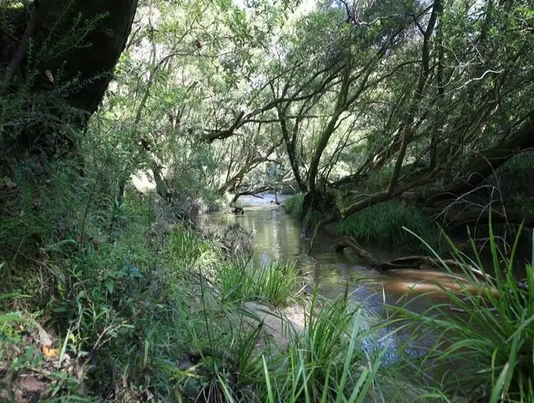Fifth view of Homely house listing, 1394 Clarence Way, Whiteman Creek NSW 2460
