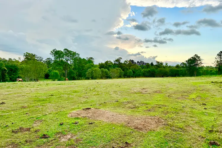 Fourth view of Homely rural property listing, 39 Theuerkaufs Road, Fairney View QLD 4306