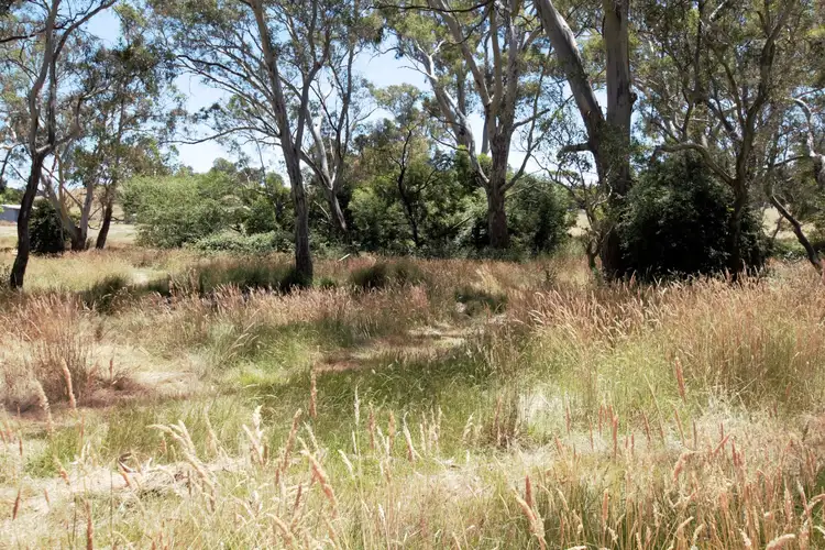 8235 Maroondah Highway