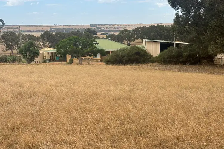 Second view of Homely rural property listing, 438 Greenough Road, Walkaway WA 6528
