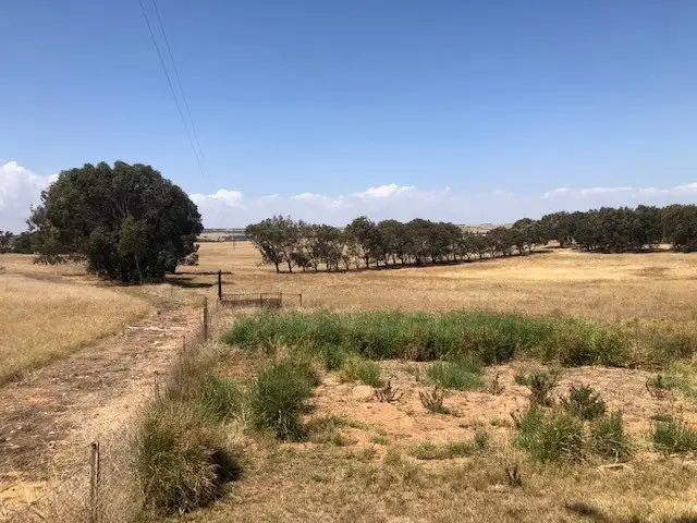 Fourth view of Homely rural property listing, 438 Greenough Road, Walkaway WA 6528
