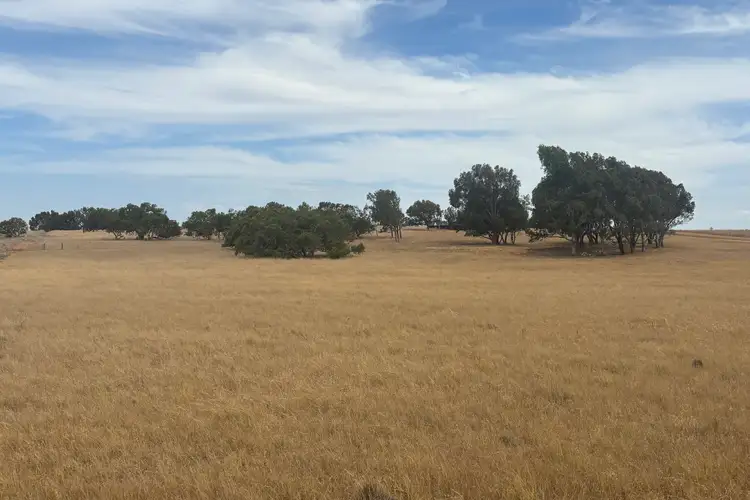 Fifth view of Homely rural property listing, 438 Greenough Road, Walkaway WA 6528