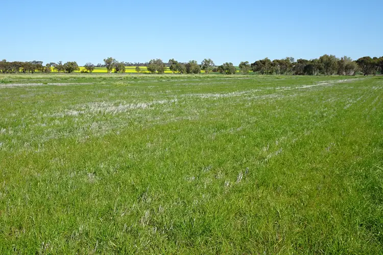 Main view of Homely rural property listing, LOT 5980 Brookton Kweda Road, Aldersyde WA 6306