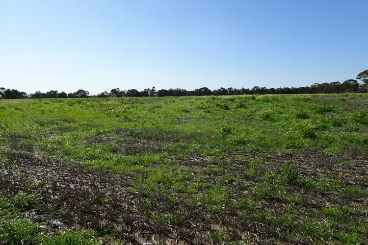 Sixth view of Homely rural property listing, LOT 5980 Brookton Kweda Road, Aldersyde WA 6306