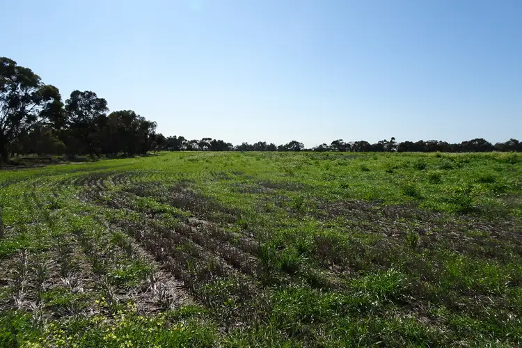 Seventh view of Homely rural property listing, LOT 5980 Brookton Kweda Road, Aldersyde WA 6306