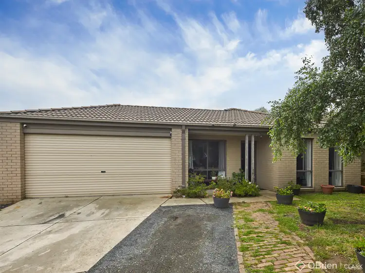 16 Rimfire Avenue, Drouin VIC 3818