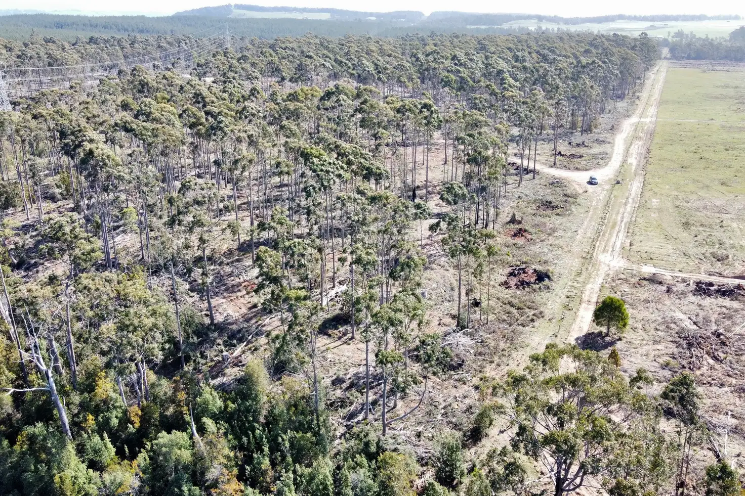 Main view of Homely land listing, LOT 2, 275 Smith And Others Road, Sassafras TAS 7307