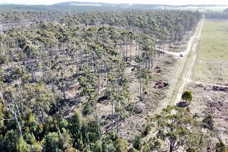 Second view of Homely land listing, LOT 2, 275 Smith And Others Road, Sassafras TAS 7307