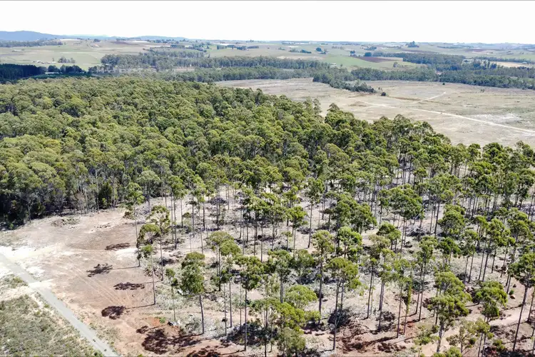 Second view of Homely land listing, LOT 2, 275 Smith And Others Road, Sassafras TAS 7307