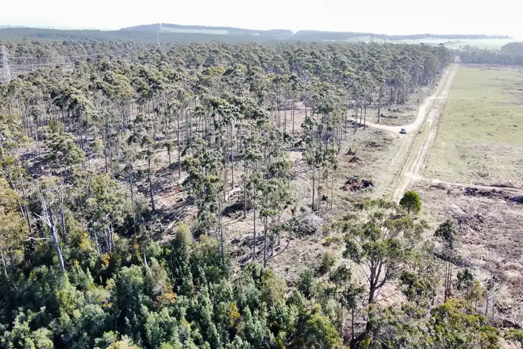 Fourth view of Homely land listing, LOT 2, 275 Smith And Others Road, Sassafras TAS 7307