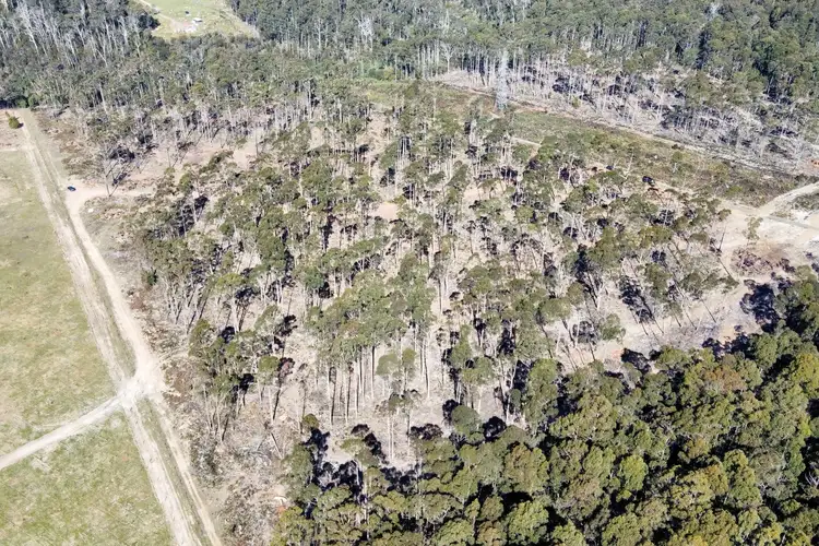 Sixth view of Homely land listing, LOT 2, 275 Smith And Others Road, Sassafras TAS 7307