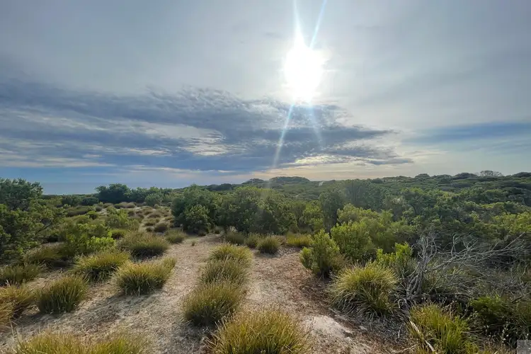 Second view of Homely rural property listing, Lot 18 Mouth Flat Road, Willson River SA 5222