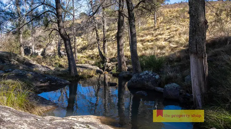 Third view of Homely rural property listing, 5056 Hill End Road, Mudgee NSW 2850