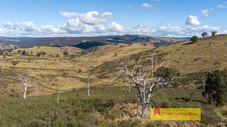 Sixth view of Homely rural property listing, 5056 Hill End Road, Mudgee NSW 2850