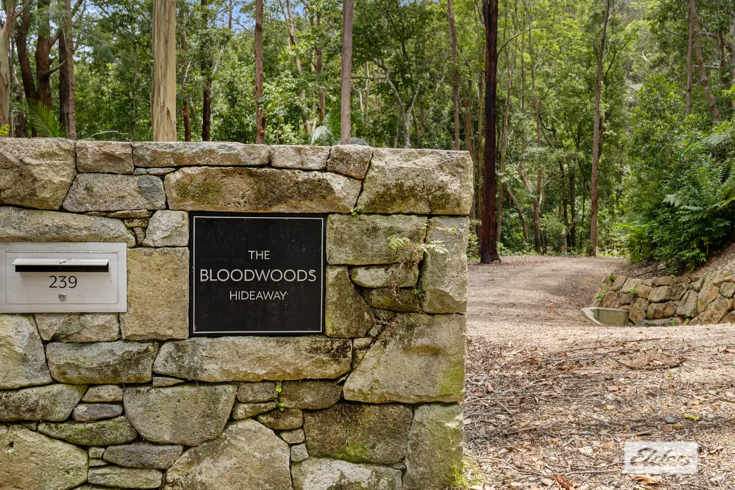 Main view of Homely land listing, 239 Smiths Creek Road, Smiths Creek NSW 2484