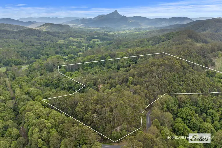 Fourth view of Homely land listing, 239 Smiths Creek Road, Smiths Creek NSW 2484
