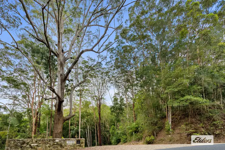 Sixth view of Homely land listing, 239 Smiths Creek Road, Smiths Creek NSW 2484