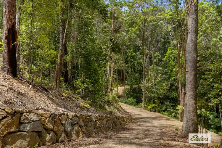Seventh view of Homely land listing, 239 Smiths Creek Road, Smiths Creek NSW 2484