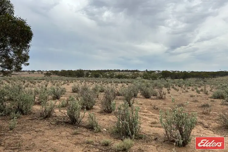 Second view of Homely rural property listing, 414 Railway Terrace, Sutherlands SA 5374