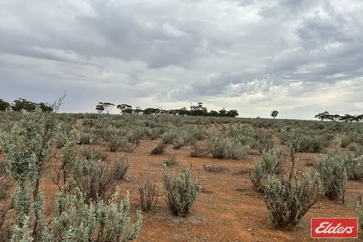 Third view of Homely rural property listing, 414 Railway Terrace, Sutherlands SA 5374