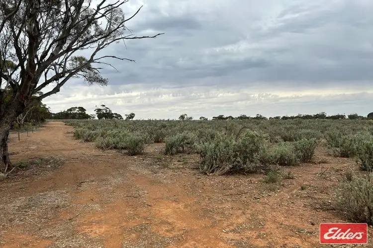 Fourth view of Homely rural property listing, 414 Railway Terrace, Sutherlands SA 5374