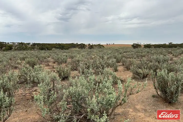 Fifth view of Homely rural property listing, 414 Railway Terrace, Sutherlands SA 5374