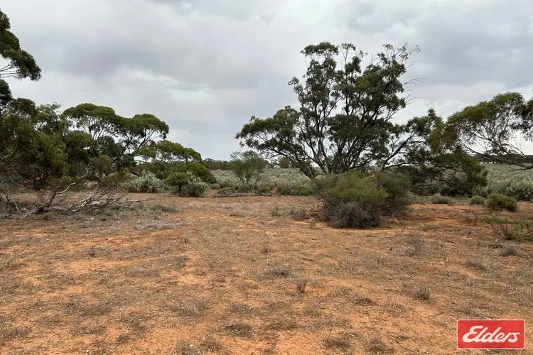 Sixth view of Homely rural property listing, 414 Railway Terrace, Sutherlands SA 5374