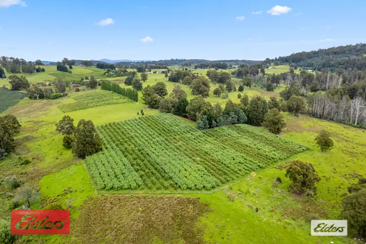 Fourth view of Homely rural property listing, Lot 1 Flakemore Road, Franklin TAS 7113
