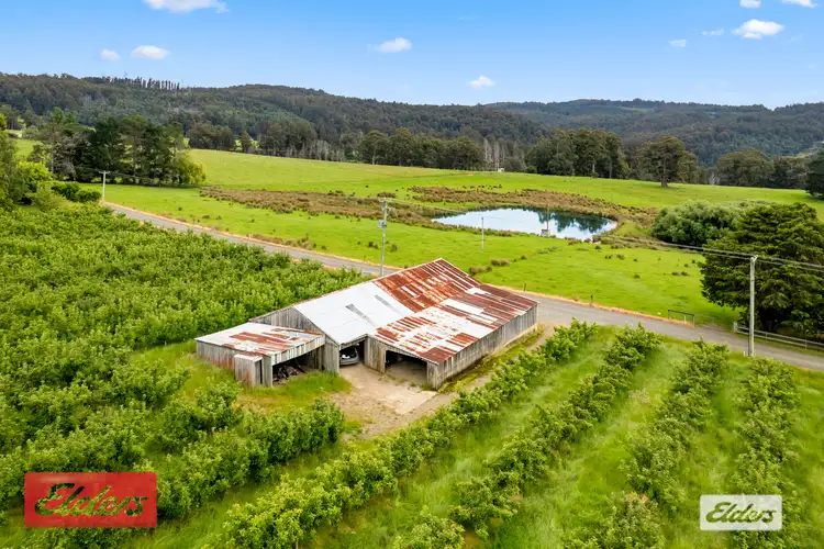 Fifth view of Homely rural property listing, Lot 1 Flakemore Road, Franklin TAS 7113