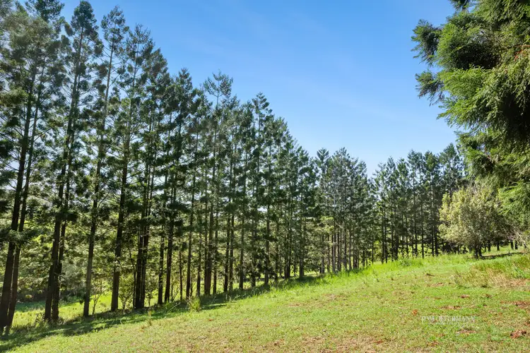 Second view of Homely land listing, 44 Hoy Road, Lake Macdonald QLD 4563