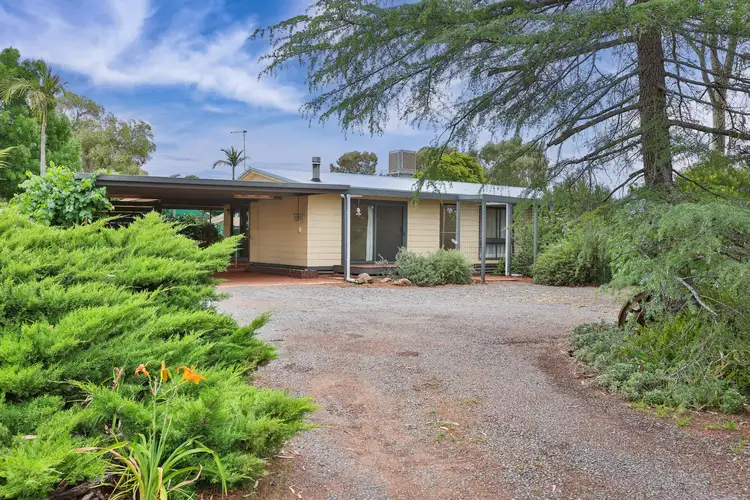 Main view of Homely rural property listing, 255 Millewa Road, Red Cliffs VIC 3496