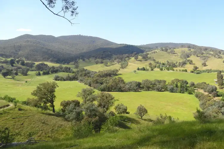 Main view of Homely rural property listing, 175 Tinmines Road, Mullengandra NSW 2644