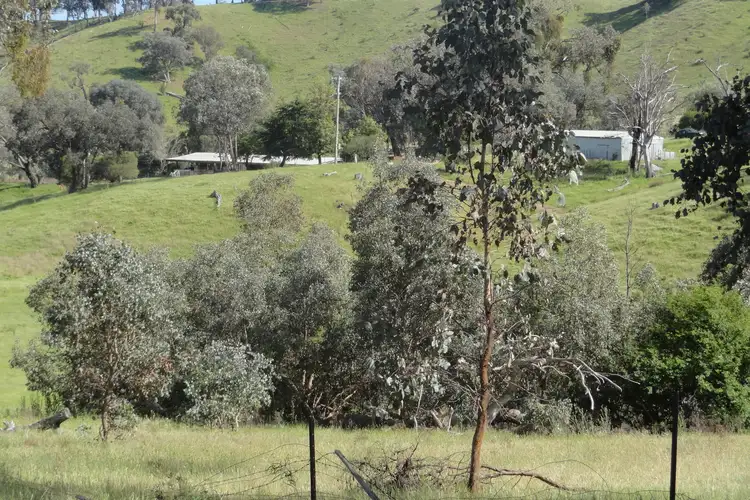 Third view of Homely rural property listing, 175 Tinmines Road, Mullengandra NSW 2644
