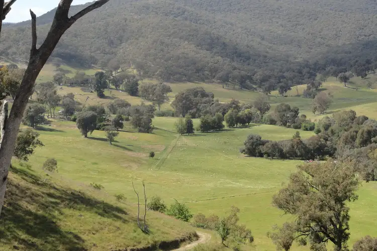 Fourth view of Homely rural property listing, 175 Tinmines Road, Mullengandra NSW 2644