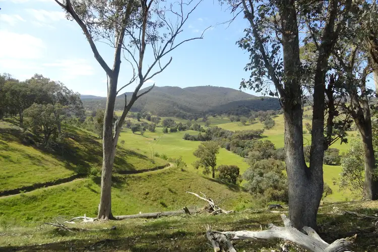 Fifth view of Homely rural property listing, 175 Tinmines Road, Mullengandra NSW 2644
