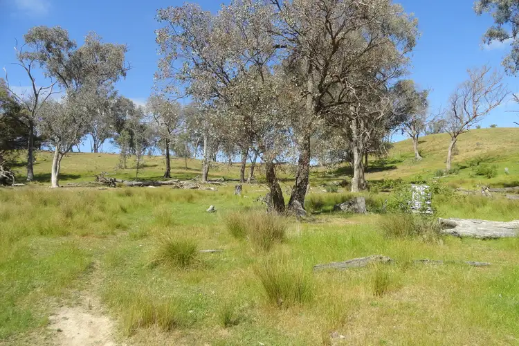 Sixth view of Homely rural property listing, 175 Tinmines Road, Mullengandra NSW 2644
