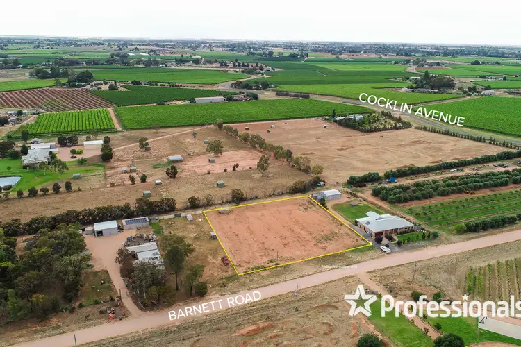 10b Barnett Road, Red Cliffs VIC 3496