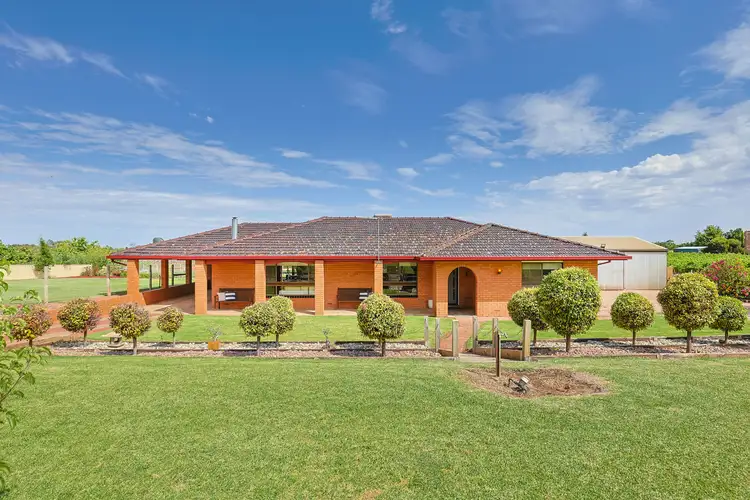Main view of Homely house listing, 246 Morpung Avenue, Irymple VIC 3498