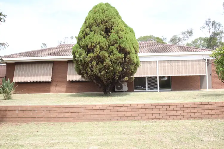 Second view of Homely house listing, 31 Collie Street, Barooga NSW 3644