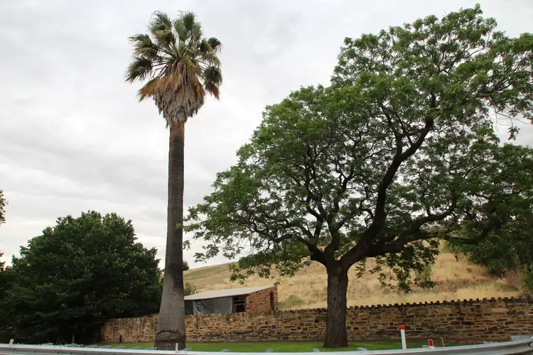 Third view of Homely land listing, LOT 92 Commerical Street, Burra SA 5417