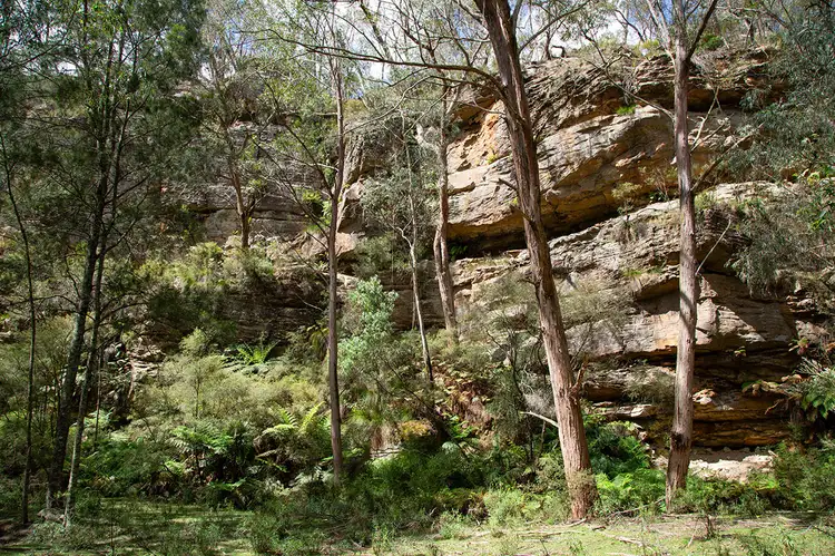 Second view of Homely rural property listing, 295 Cherry Tree Road, Sutton Forest NSW 2577
