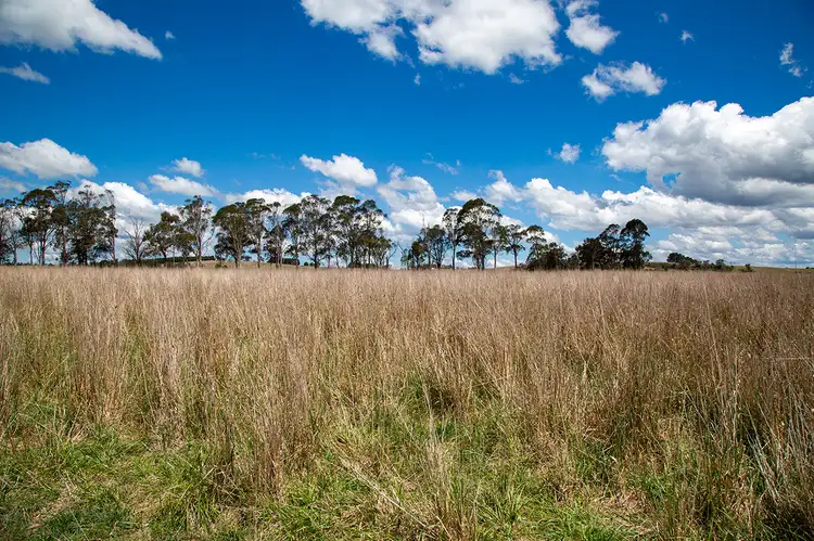 Third view of Homely rural property listing, 295 Cherry Tree Road, Sutton Forest NSW 2577