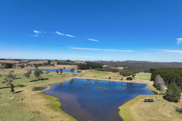 Fourth view of Homely rural property listing, 295 Cherry Tree Road, Sutton Forest NSW 2577